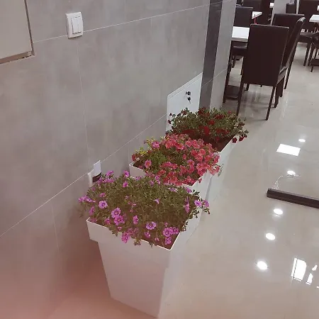 Emro Guest house *